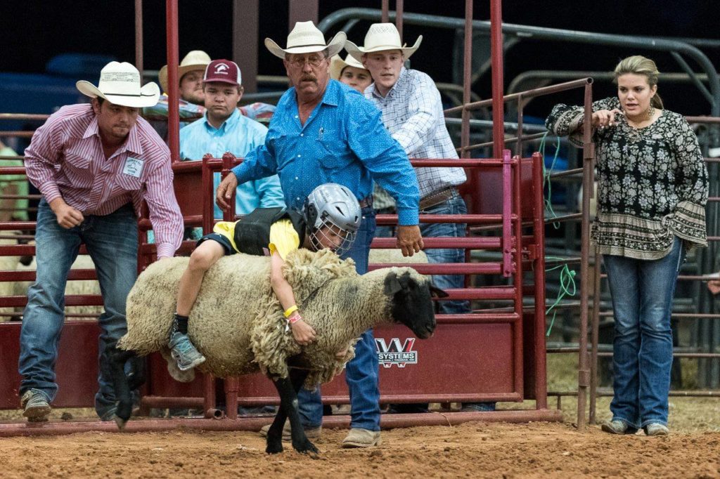 Dripping Springs Fair and Rodeo, things to do in Dripping Springs, Dripping Springs attractions, events in Dripping Springs
