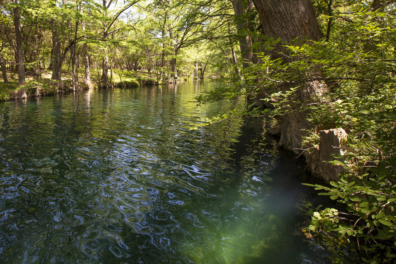 Things to Do in Wimberley, Texas Day Trips