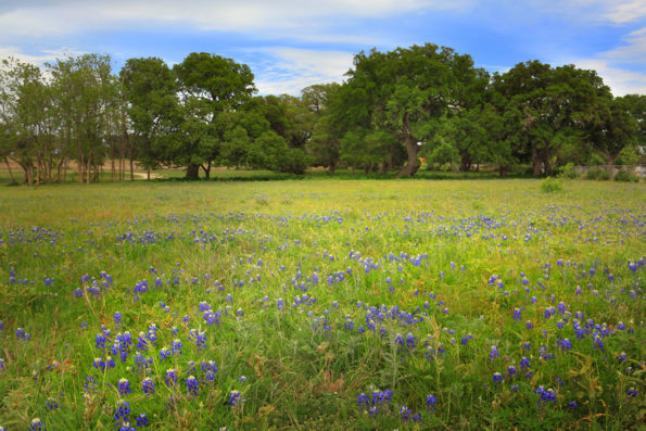 Caliterra – Master-Planned Community in Dripping Springs, Texas