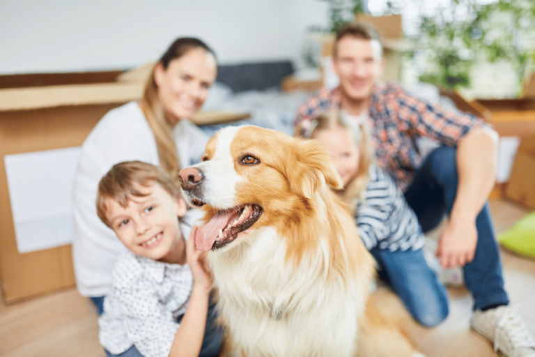 Tips & Tricks for Adding a New Furry Friend to Your Home - Caliterra