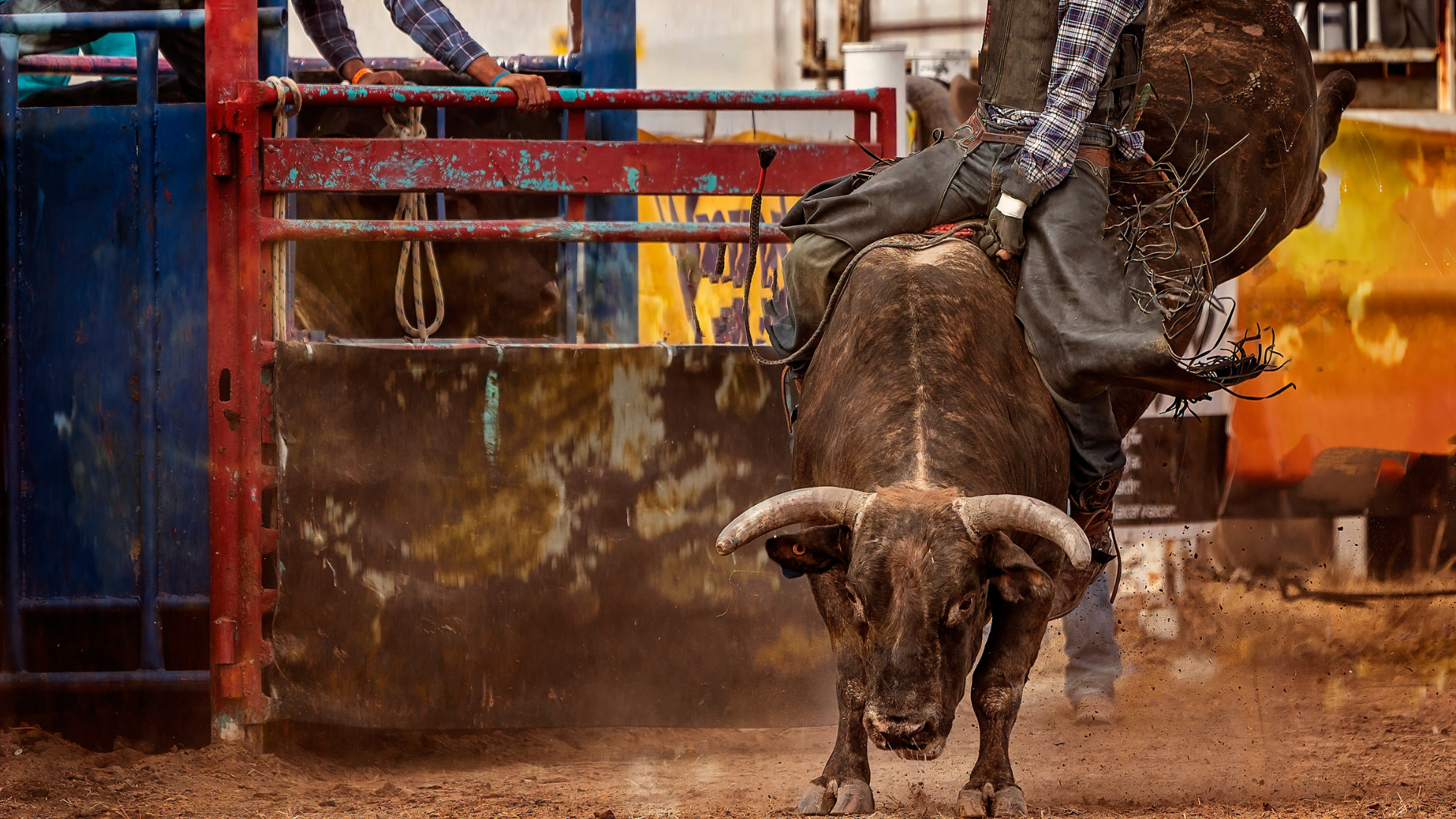 #2 Caliterra May25_ Saddle Up for a Texas-Sized Weekend